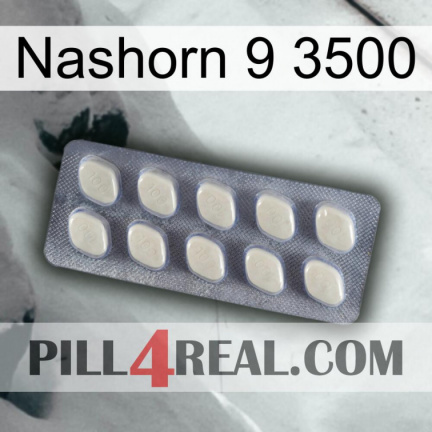 Rhino 9 3500 08